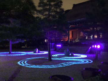 ZEN NIGHT WALK KAMAKURAに投稿された画像（2025/11/3）