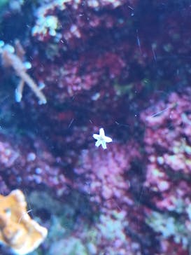 マクセル アクアパーク品川に投稿された画像（2025/11/3）