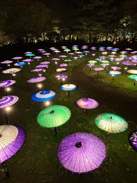 国営昭和記念公園 秋の夜散歩に投稿された画像（2025/11/3）