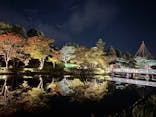 国営昭和記念公園 秋の夜散歩に投稿された画像（2025/11/3）