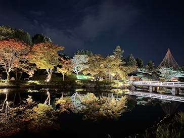 国営昭和記念公園 秋の夜散歩に投稿された画像（2025/11/3）