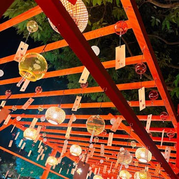 国営昭和記念公園 秋の夜散歩に投稿された画像（2025/11/3）