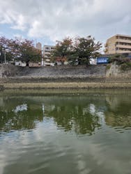 ひろしまリバークルーズに投稿された画像（2025/11/3）