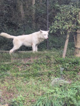 名古屋市東山動植物園に投稿された画像（2025/11/3）