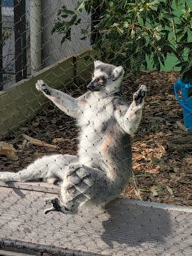 名古屋市東山動植物園に投稿された画像（2025/11/3）