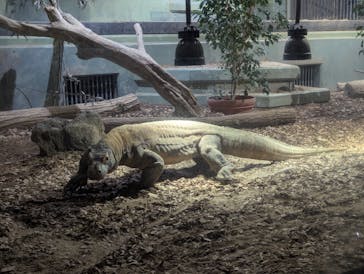 名古屋市東山動植物園に投稿された画像（2025/11/3）