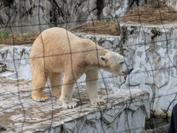 名古屋市東山動植物園に投稿された画像（2025/11/3）