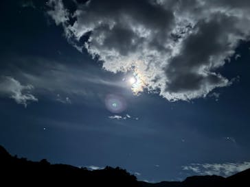 大井川鐵道株式会社に投稿された画像（2025/11/3）