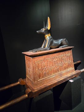 MYSTERY OF TUTANKHAMEN 体感型古代エジプト展に投稿された画像（2025/11/3）