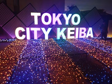 東京メガイルミに投稿された画像（2025/11/3）