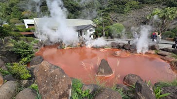 べっぷ地獄めぐりに投稿された画像（2025/11/3）