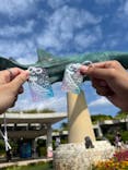 沖縄美ら海水族館に投稿された画像（2025/11/3）