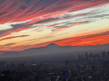 東京スカイツリーに投稿された画像（2025/11/3）