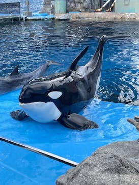 名古屋港水族館に投稿された画像（2025/11/3）
