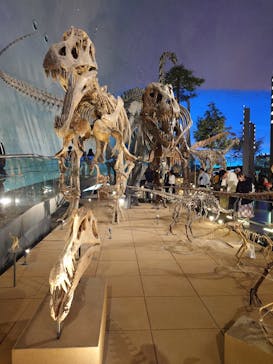 福井県立恐竜博物館に投稿された画像（2025/11/3）