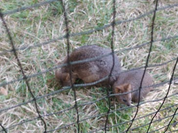 こども動物自然公園（埼玉県公園緑地協会）に投稿された画像（2025/11/3）