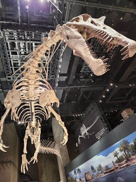 福井県立恐竜博物館に投稿された画像（2025/11/3）