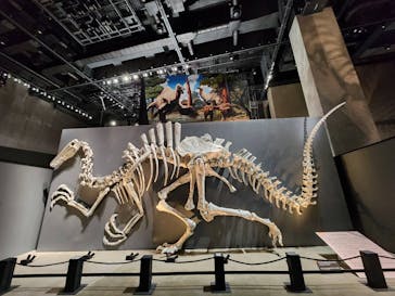 福井県立恐竜博物館に投稿された画像（2025/11/3）