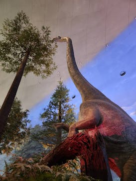 福井県立恐竜博物館に投稿された画像（2025/11/3）