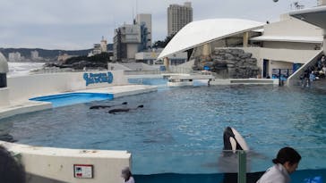 鴨川シーワールドに投稿された画像（2025/11/3）