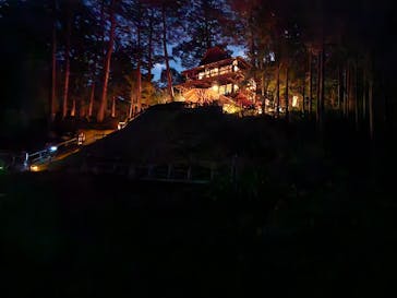 大井川鐵道株式会社に投稿された画像（2025/11/3）