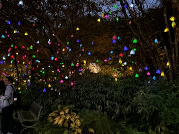 神戸六甲ミーツ・アート2025 beyondに投稿された画像（2025/11/3）