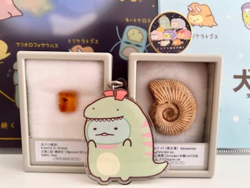 特別展「大絶滅展―生命史のビッグファイブ」に投稿された画像（2025/11/3）