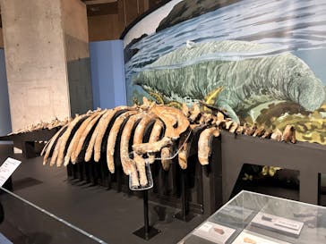 特別展「大絶滅展―生命史のビッグファイブ」に投稿された画像（2025/11/3）