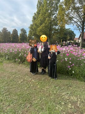 滋賀農業公園ブルーメの丘に投稿された画像（2025/11/3）