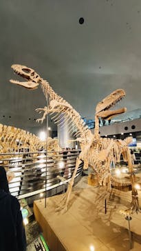 福井県立恐竜博物館に投稿された画像（2025/11/3）