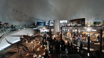 福井県立恐竜博物館に投稿された画像（2025/11/3）