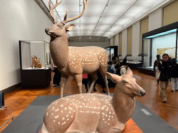 特別展「運慶 祈りの空間ー興福寺北円堂」（東京国立博物館　本館 特別５室）に投稿された画像（2025/11/3）