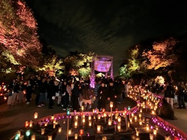 江の島シーキャンドルに投稿された画像（2025/11/3）