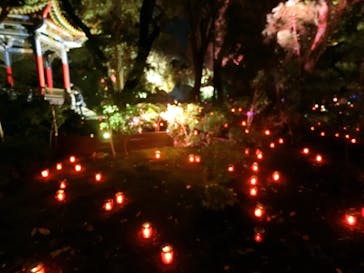 江の島シーキャンドルに投稿された画像（2025/11/3）