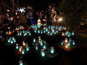 江の島シーキャンドルに投稿された画像（2025/11/3）