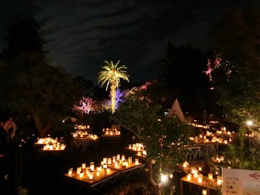 江の島シーキャンドルに投稿された画像（2025/11/3）