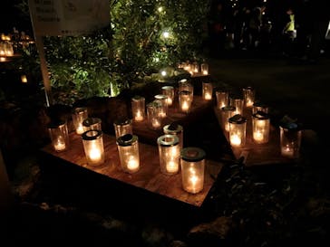 江の島シーキャンドルに投稿された画像（2025/11/3）