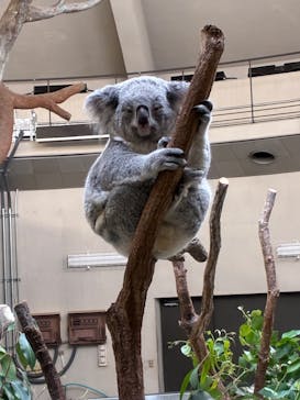 多摩動物公園に投稿された画像（2025/11/3）