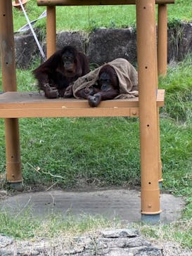 多摩動物公園に投稿された画像（2025/11/3）