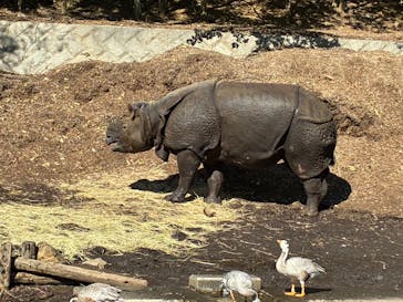 多摩動物公園に投稿された画像（2025/11/3）
