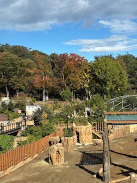 多摩動物公園に投稿された画像（2025/11/3）