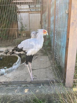 恩賜上野動物園に投稿された画像（2025/11/3）