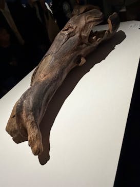 正倉院 THE SHOW ―感じる。いま、ここにある奇跡―　@上野の森美術館に投稿された画像（2025/11/3）