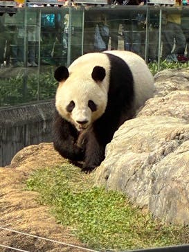 恩賜上野動物園に投稿された画像（2025/11/3）