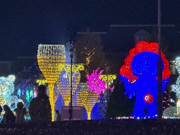 神戸イルミナージュに投稿された画像（2025/11/3）