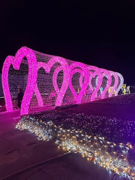 神戸イルミナージュに投稿された画像（2025/11/3）