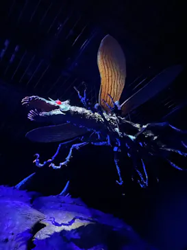 金曜ロードショーとジブリ展（静岡展）に投稿された画像（2025/11/3）