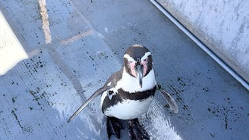 南知多ビーチランド＆南知多おもちゃ王国に投稿された画像（2025/11/3）