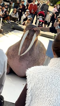 南知多ビーチランド＆南知多おもちゃ王国に投稿された画像（2025/11/3）