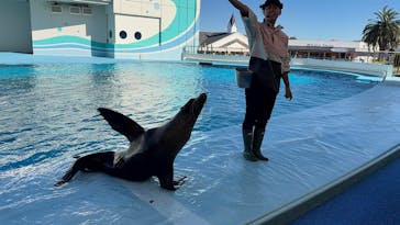 南知多ビーチランド＆南知多おもちゃ王国に投稿された画像（2025/11/3）